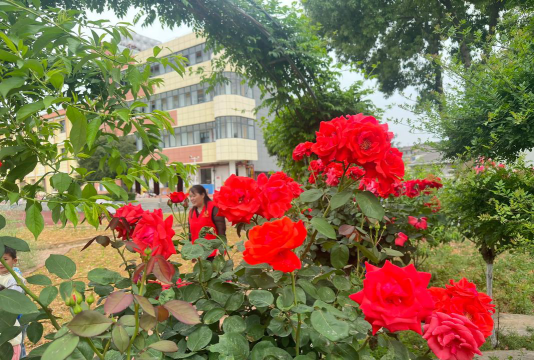 艳都学校阅读区