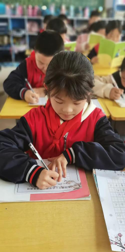 蒲城县龙阳镇中心小学阅读区