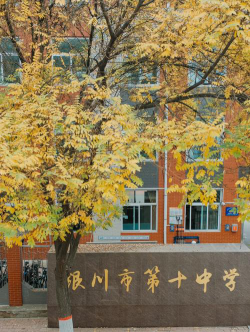 漯河市第十中学阅读区