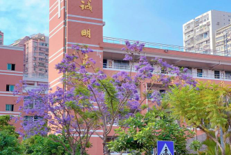 阳春市松柏中学阅读区
