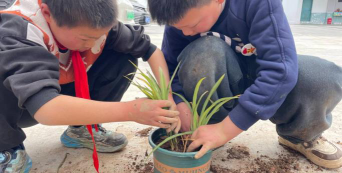 龙井小学阅读区
