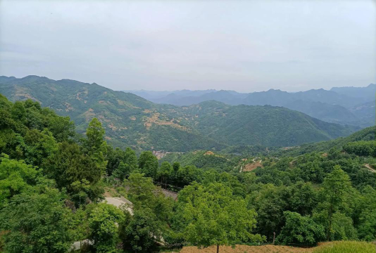 燕子砭镇新场中心小学阅读区