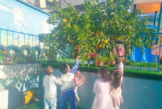 贵溪市希望幼儿园阅读区