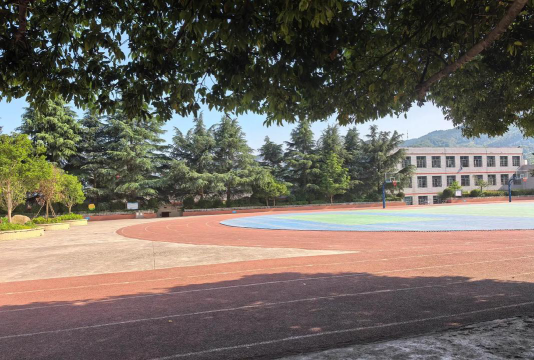枣林坪中学阅读区