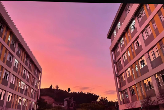 云南农业大学阅读区