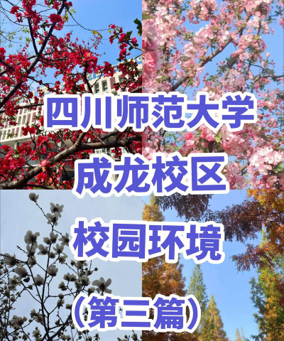 四川师范大学成龙校区阅读区