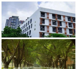 普宁光明中学阅读区
