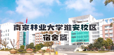 南京林业师范大学淮安校区阅读区