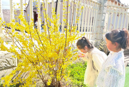 冯家村幼儿园阅读区
