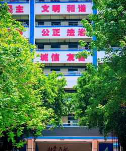 二七二小学阅读区