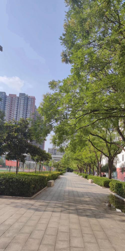 河北信息工程学校阅读区