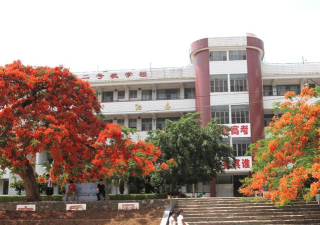 云南省绥江县第一中学阅读区