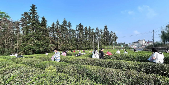 鸬鹚渡镇中学阅读区