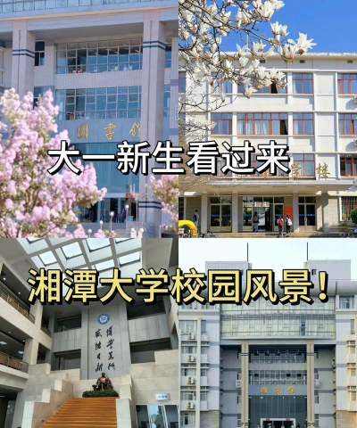 湘潭大学子弟学校阅读区