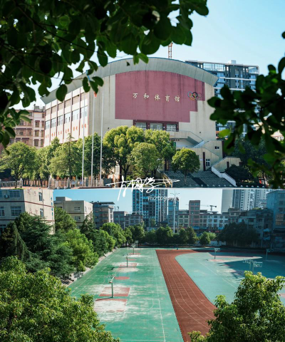 万和试验学校阅读区