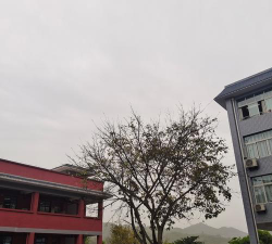 重庆市万州博文实验学校阅读区