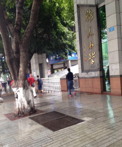 重庆市万州树人学校阅读区