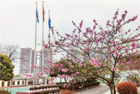 成都市第三十三中学阅读区