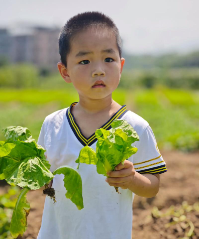 菜湾幼儿园阅读区