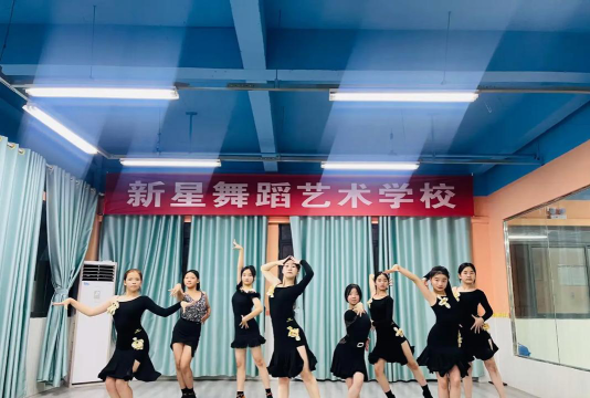环县新星艺术培训学校有限公司阅读区