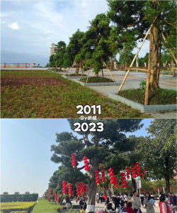 茂港区一中阅读区