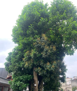 西宁建筑学校阅读区