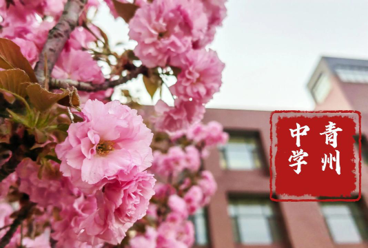 青州第八中学阅读区