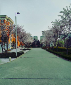 昌邑一中阅读区