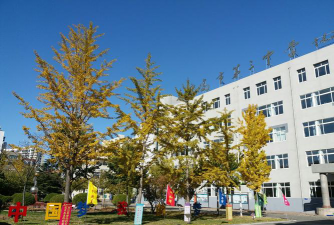 河北秦皇岛三中阅读区
