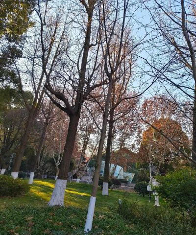 江苏南京师大附中阅读区