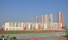 深圳市坂田新城学校阅读区