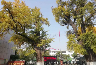扬州市北柳巷小学阅读区
