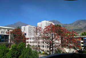 东川区第二中学阅读区