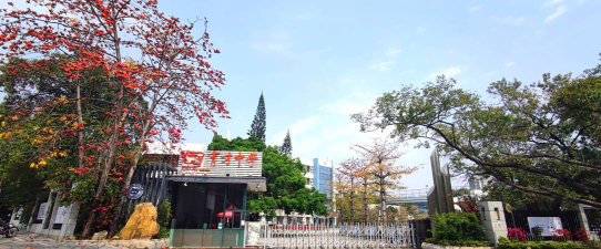 深圳南山育才中学阅读区