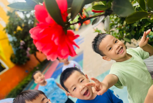 佛山市顺德区杏坛杏伟实验幼儿园有限公司阅读区