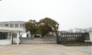 上海崇明县港沿中心校阅读区