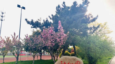常州市圩塘中心小学阅读区