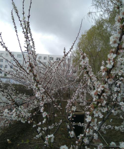 穆棱市农拥小学阅读区