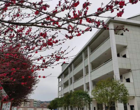 邵东县火厂坪镇火厂坪中学阅读区
