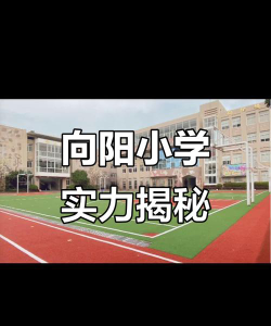 上海市徐汇区向阳小学阅读区