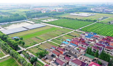 胶州市铺集镇沙河村阅读区