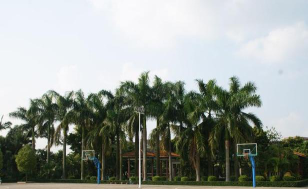 东莞市中堂槎滘小学阅读区