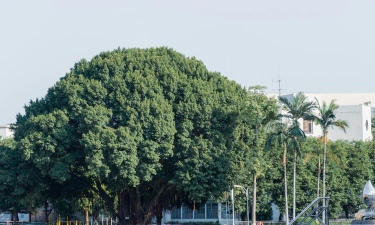 四会市地豆中学阅读区