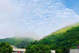 麻虎初级中学阅读区