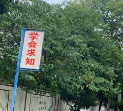 君山学校阅读区