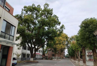 三封中学阅读区