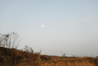 塔市驿塔市中学阅读区