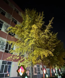 城关镇启明中学阅读区