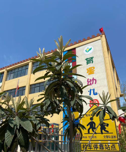 洛阳市西工区道北路实验幼儿园阅读区
