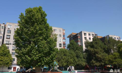 平煤集团一矿幼儿园阅读区